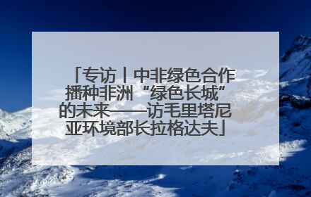 专访丨中非绿色合作播种非洲“绿色长城”的未来——访毛里塔尼亚环境部长拉格达夫