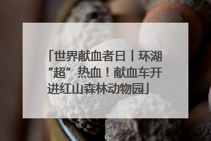 世界献血者日丨环湖“超”热血！献血车开进红山森林动物园