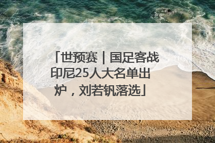 世预赛｜国足客战印尼25人大名单出炉，刘若钒落选