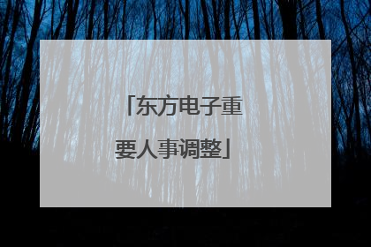 东方电子重要人事调整