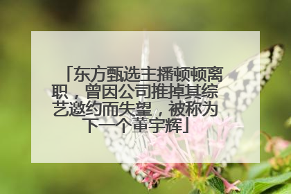 东方甄选主播顿顿离职，曾因公司推掉其综艺邀约而失望，被称为下一个董宇辉