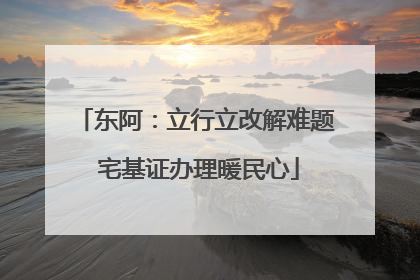 东阿：立行立改解难题 宅基证办理暖民心