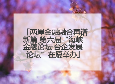 两岸金融融合再谱新篇 第六届“海峡金融论坛·台企发展论坛”在厦举办