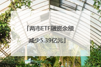 两市ETF融资余额减少5.39亿元