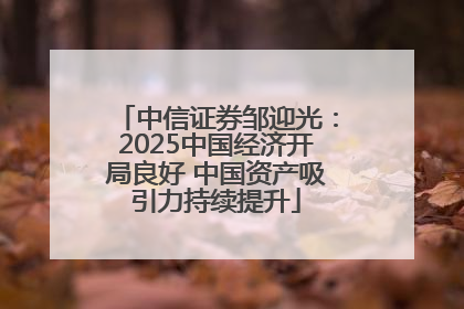 中信证券邹迎光：2025中国经济开局良好 中国资产吸引力持续提升