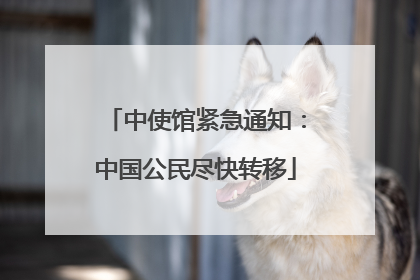 中使馆紧急通知：中国公民尽快转移