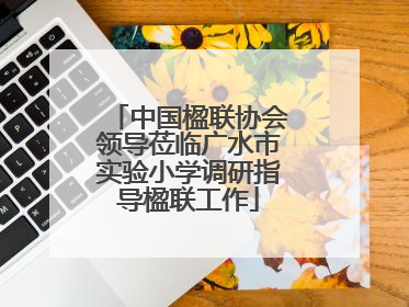 中国楹联协会领导莅临广水市实验小学调研指导楹联工作