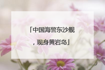中国海警东沙舰，现身黄岩岛