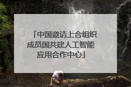 中国邀请上合组织成员国共建人工智能应用合作中心