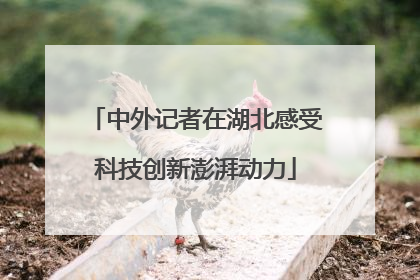 中外记者在湖北感受科技创新澎湃动力
