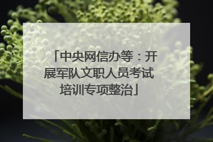 中央网信办等：开展军队文职人员考试培训专项整治