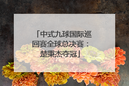 中式九球国际巡回赛全球总决赛：楚秉杰夺冠