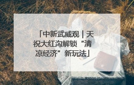 中新武威观｜天祝大红沟解锁“清凉经济”新玩法
