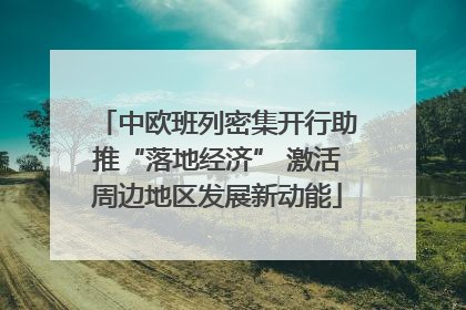中欧班列密集开行助推“落地经济” 激活周边地区发展新动能