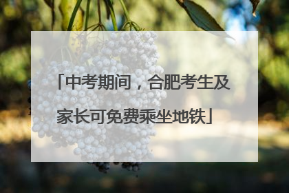 中考期间，合肥考生及家长可免费乘坐地铁
