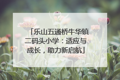 乐山五通桥牛华镇二码头小学：适应与成长，助力新启航