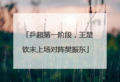 乒超第一阶段，王楚钦未上场对阵樊振东