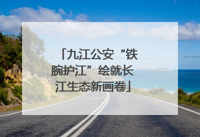 九江公安“铁腕护江”绘就长江生态新画卷