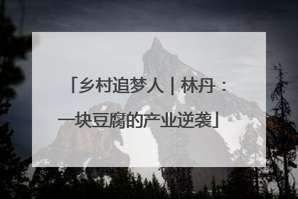 乡村追梦人｜林丹：一块豆腐的产业逆袭