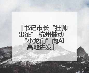 书记市长“挂帅出征” 杭州催动“小龙们”向AI高地进发