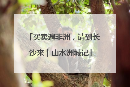 买卖遍非洲，请到长沙来｜山水洲城记