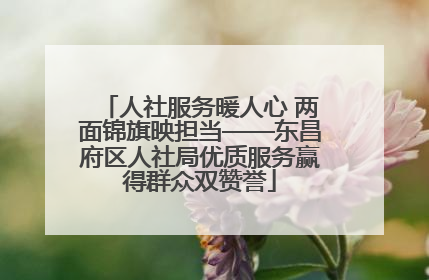 人社服务暖人心 两面锦旗映担当——东昌府区人社局优质服务赢得群众双赞誉