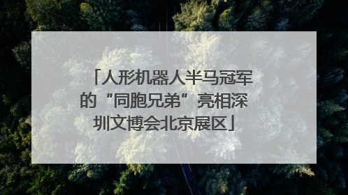 人形机器人半马冠军的“同胞兄弟”亮相深圳文博会北京展区