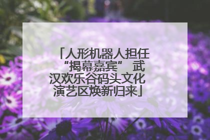 人形机器人担任“揭幕嘉宾” 武汉欢乐谷码头文化演艺区焕新归来