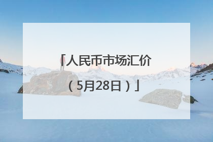 人民币市场汇价（5月28日）