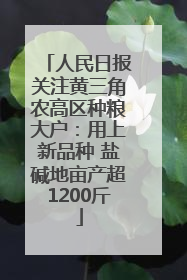 人民日报关注黄三角农高区种粮大户：用上新品种 盐碱地亩产超1200斤