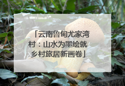 云南鲁甸尤家湾村：山水为墨绘就乡村旅居新画卷