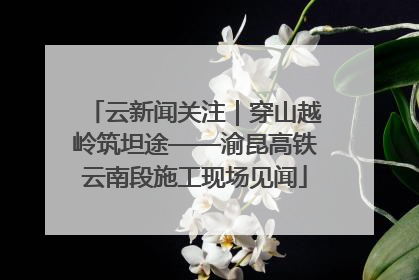 云新闻关注｜穿山越岭筑坦途——渝昆高铁云南段施工现场见闻