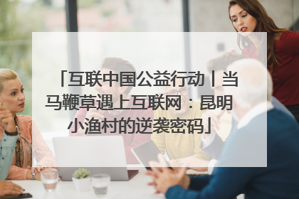 互联中国公益行动丨当马鞭草遇上互联网：昆明小渔村的逆袭密码