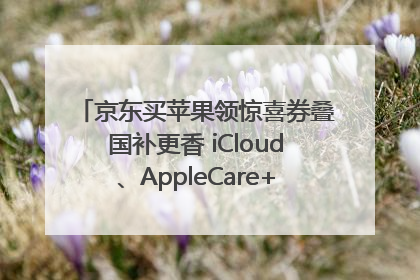 京东买苹果领惊喜券叠国补更香 iCloud、AppleCare+服务限时低至85折