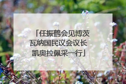 任振鹤会见博茨瓦纳国民议会议长凯奥拉佩采一行