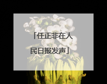 任正非在人民日报发声