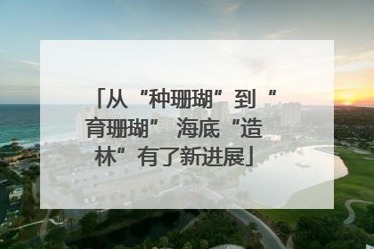 从“种珊瑚”到“育珊瑚” 海底“造林”有了新进展
