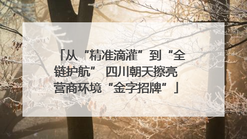 从“精准滴灌”到“全链护航” 四川朝天擦亮营商环境“金字招牌”