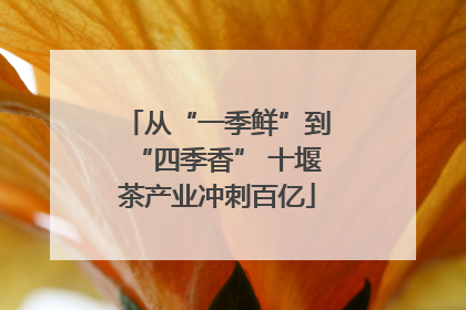 从“一季鲜”到“四季香” 十堰茶产业冲刺百亿