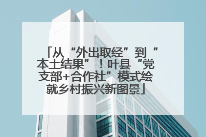 从“外出取经”到“本土结果”！叶县“党支部+合作社”模式绘就乡村振兴新图景
