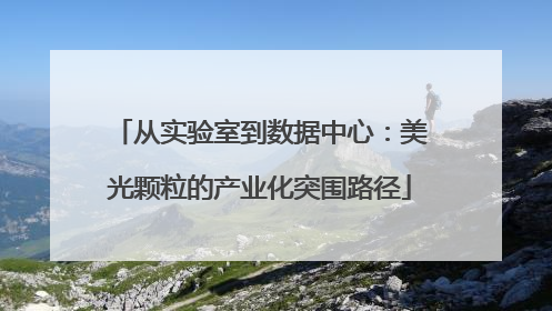 从实验室到数据中心：美光颗粒的产业化突围路径