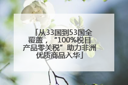 从33国到53国全覆盖，“100%税目产品零关税”助力非洲优质商品入华