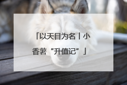 以天目为名丨小香薯“升值记”