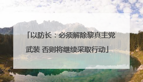 以防长：必须解除黎真主党武装 否则将继续采取行动