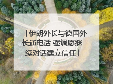 伊朗外长与德国外长通电话 强调愿继续对话建立信任