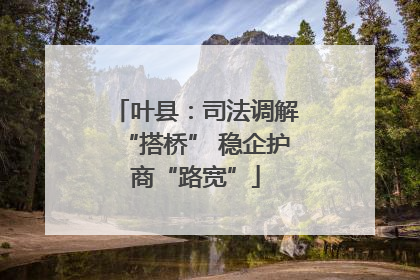 叶县：司法调解“搭桥” 稳企护商“路宽”