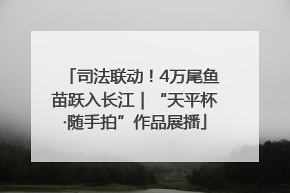 司法联动！4万尾鱼苗跃入长江｜“天平杯·随手拍”作品展播