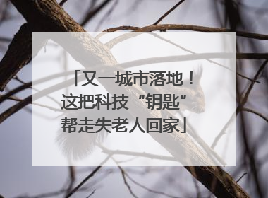 又一城市落地！这把科技“钥匙”帮走失老人回家