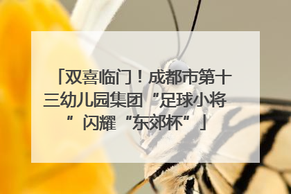 双喜临门！成都市第十三幼儿园集团“足球小将”闪耀“东郊杯”