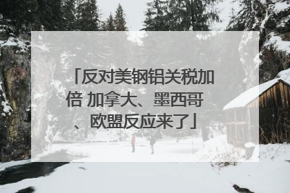 反对美钢铝关税加倍 加拿大、墨西哥、欧盟反应来了